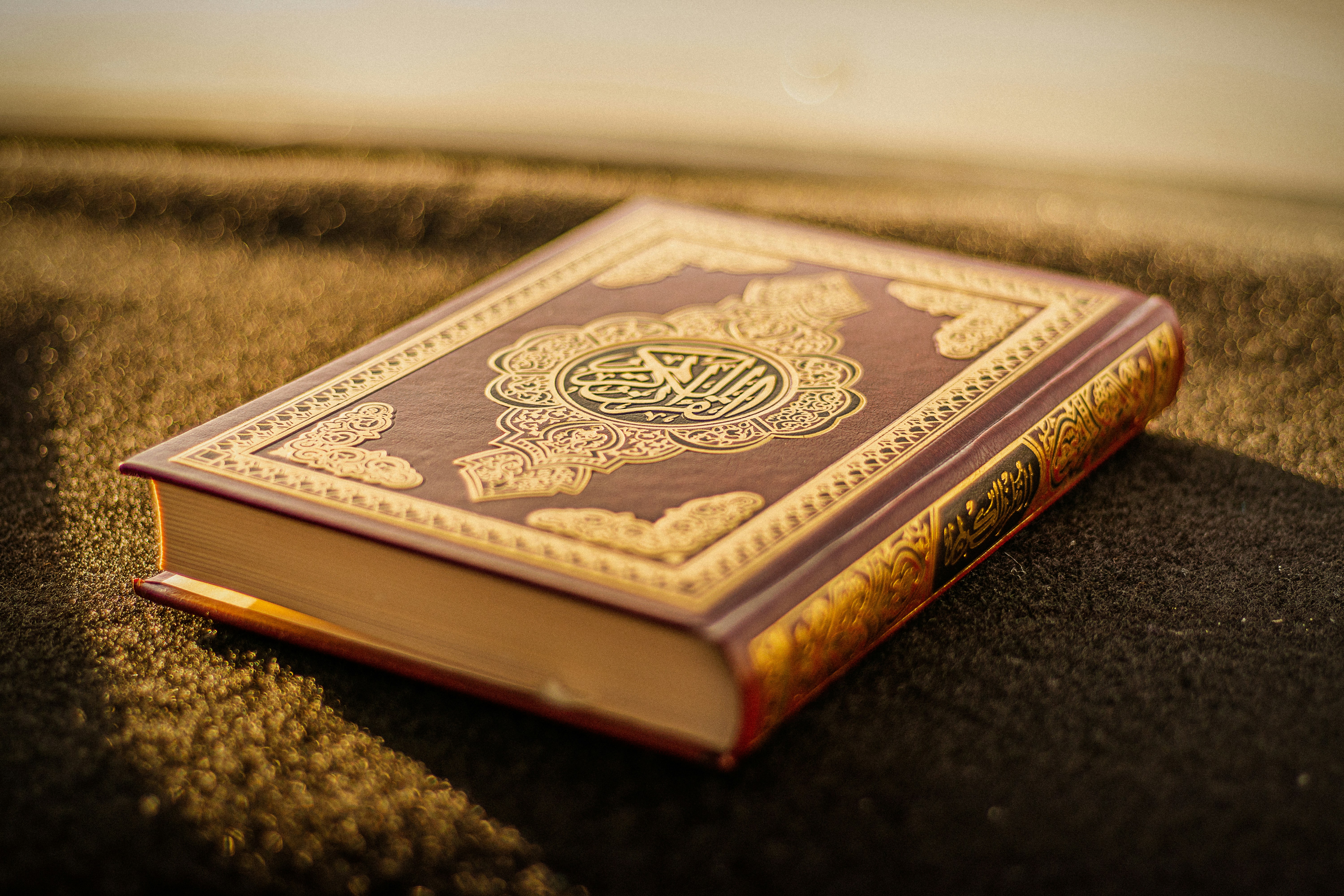 Learn Quran Online with Tafseer and Urdu Translation